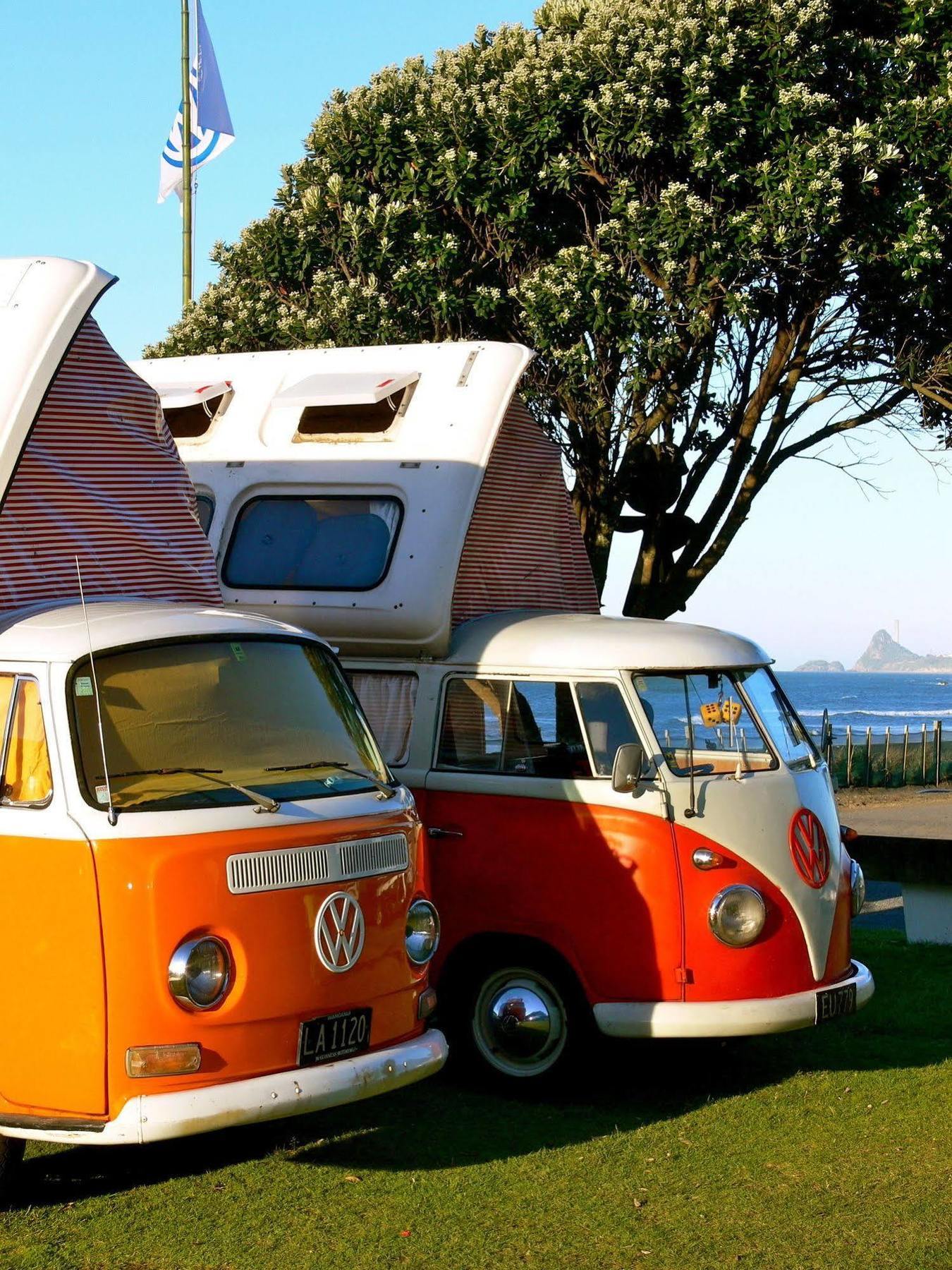 Oakura Beach Holiday Park エクステリア 写真